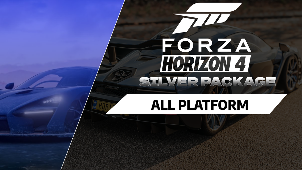 Forza Horizon 4 Silver Package